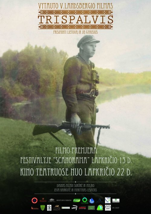 Обложка (Постер) Триколор / Trispalvis (2013) HDRip