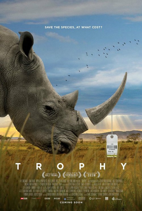 Обложка (Постер) Трофей / Trophy (2017) HDRip