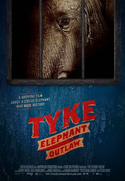 Обложка (Постер) Tyke Elephant Outlaw (2015) HDRip Обложка (Постер) Tyke Elephant Outlaw (2015) HDRip