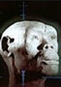 Обложка (Постер) У истоков человечества (1976) SATRip