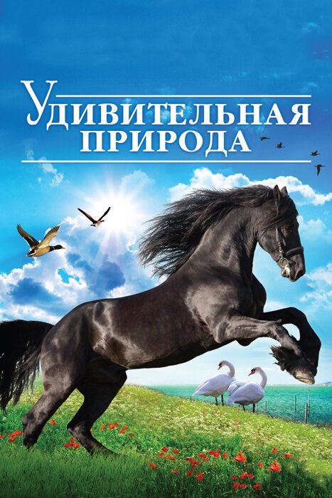Обложка (Постер) Удивительная природа 3D / Amazing Nature 3D (2012) HDRip Обложка (Постер) Удивительная природа 3D / Amazing Nature 3D (2012) HDRip