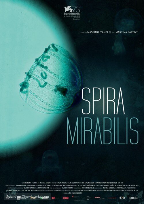 Обложка (Постер) Удивительная спираль / Spira Mirabilis (2016) CAMRip Обложка (Постер) Удивительная спираль / Spira Mirabilis (2016) CAMRip