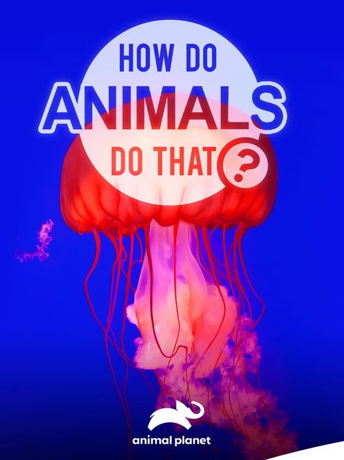 Обложка (Постер) Удивительный мир животных / How do Animals do That (2019) HDRip