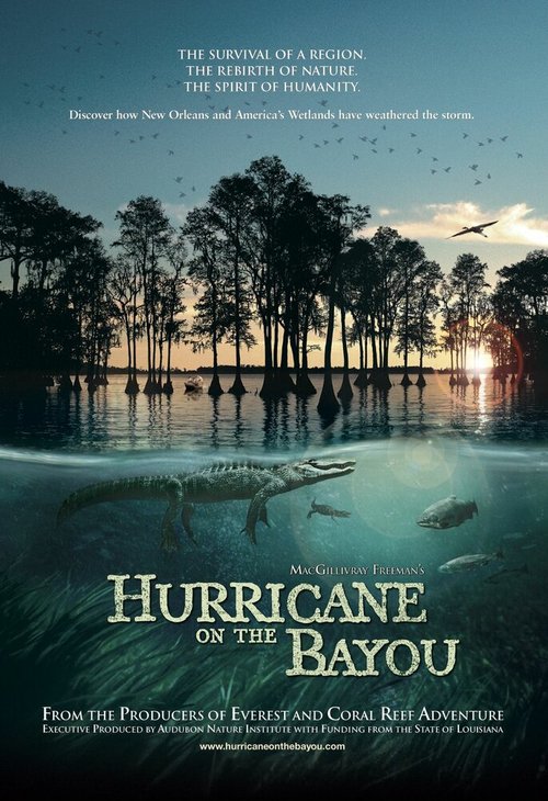 Обложка (Постер) Ураган на Байу / Hurricane on the Bayou (2006) HDRip