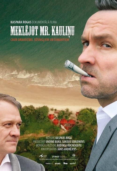 Обложка (Постер) В поисках мистера Каулиня / Looking for Mr. Dice (2019) HDRip