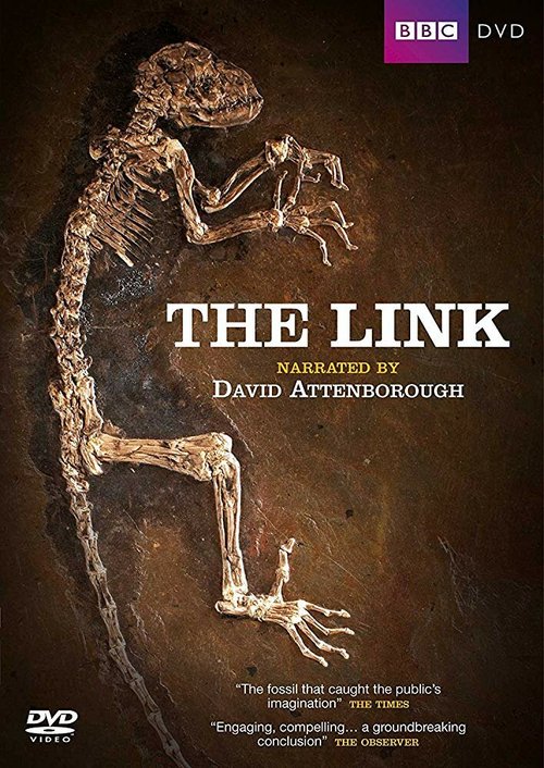 Обложка (Постер) В поисках наших далеких предков: Связь / Uncovering Our Earliest Ancestor: The Link (2009) HDRip Обложка (Постер) В поисках наших далеких предков: Связь / Uncovering Our Earliest Ancestor: The Link (2009) HDRip