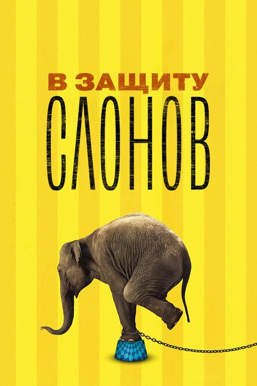 Обложка (Постер) В защиту слонов / An Apology to Elephants (2013) HDRip Обложка (Постер) В защиту слонов / An Apology to Elephants (2013) HDRip