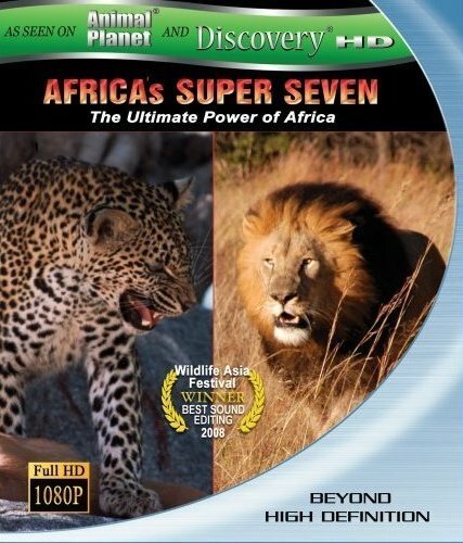 Обложка (Постер) Великолепная семерка Африки / Africa's Super Seven (2005) HDRip