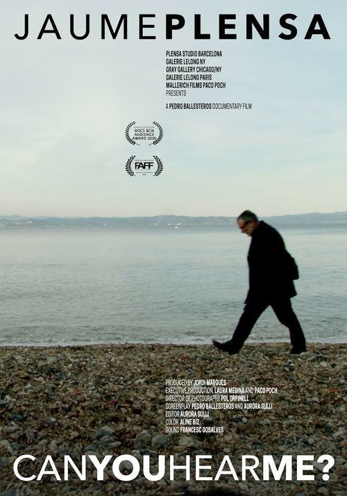 Обложка (Постер) Вы меня слышите? / Can you hear me? (2020) HDRip