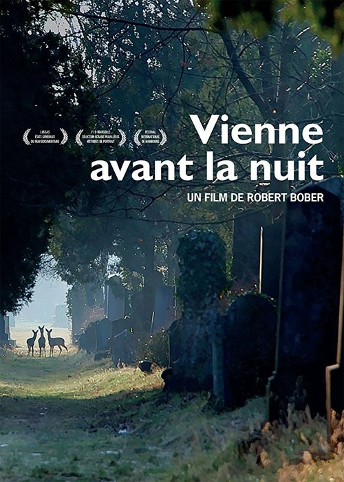 Обложка (Постер) Vienne avant la nuit (2017) HDRip Обложка (Постер) Vienne avant la nuit (2017) HDRip