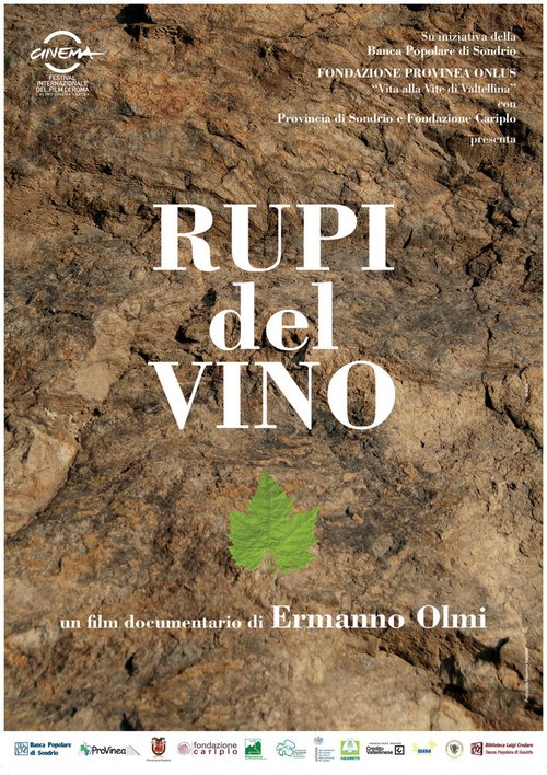 Обложка (Постер) Виноградники среди скал / Rupi del vino (2009) HDRip Обложка (Постер) Виноградники среди скал / Rupi del vino (2009) HDRip