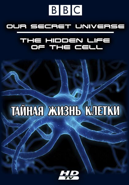 Обложка (Постер) Внутренняя вселенная: Тайная жизнь клетки / Our Secret Universe: The Hidden Life of the Cell (2012) HDRip Обложка (Постер) Внутренняя вселенная: Тайная жизнь клетки / Our Secret Universe: The Hidden Life of the Cell (2012) HDRip