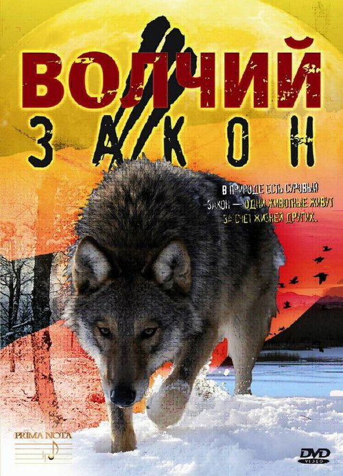 Обложка (Постер) Волчий закон (2008) HDRip