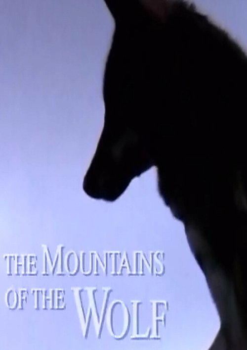 Обложка (Постер) Волчьи горы / Las montañas del lobo (2003) HDRip Обложка (Постер) Волчьи горы / Las montañas del lobo (2003) HDRip