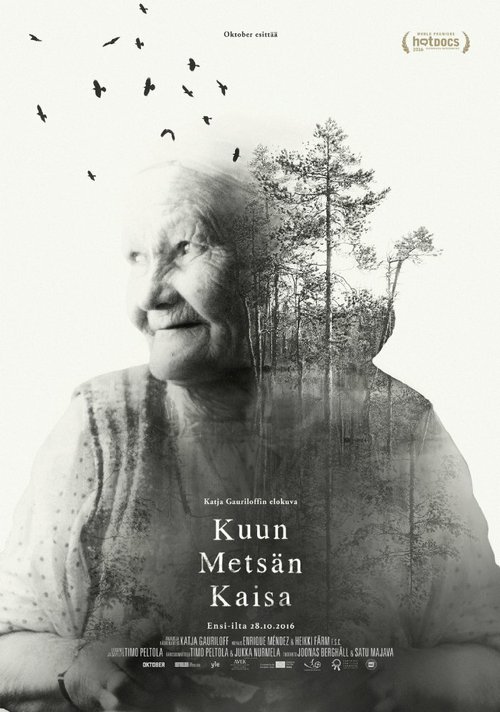 Обложка (Постер) Волшебный лес Кайсы / Kuun metsän Kaisa (2016) CAMRip Обложка (Постер) Волшебный лес Кайсы / Kuun metsän Kaisa (2016) CAMRip