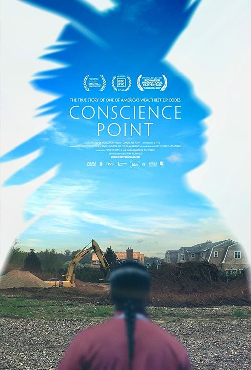 Обложка (Постер) Вопрос совести / Conscience Point (2019) HDRip