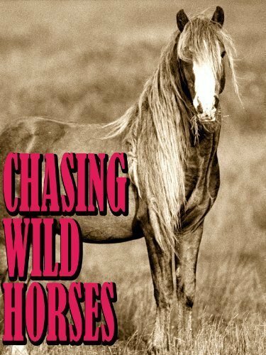 Обложка (Постер) Вслед за дикими лошадьми / Chasing Wild Horses (2008) HDRip Обложка (Постер) Вслед за дикими лошадьми / Chasing Wild Horses (2008) HDRip