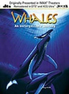 Обложка (Постер) Whales: An Unforgettable Journey (1997) HDRip