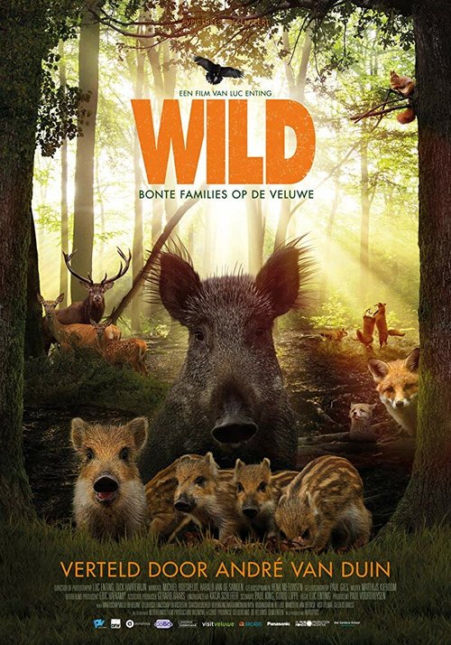 Обложка (Постер) Wild (2018) HDRip