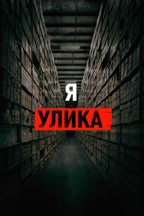 Обложка (Постер) Я — улика / I Am Evidence (2017) HDRip