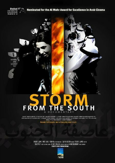 Обложка (Постер) Южный шторм / Storm from the South (2006) HDRip Обложка (Постер) Южный шторм / Storm from the South (2006) HDRip