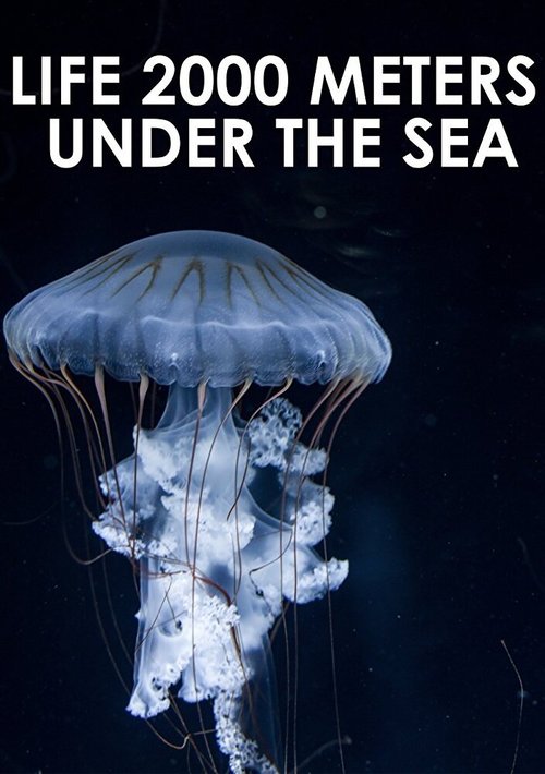 Обложка (Постер) Жизнь на глубине 2000 метров / Life 2,000 Meters Under the Sea (2014) HDRip Обложка (Постер) Жизнь на глубине 2000 метров / Life 2,000 Meters Under the Sea (2014) HDRip