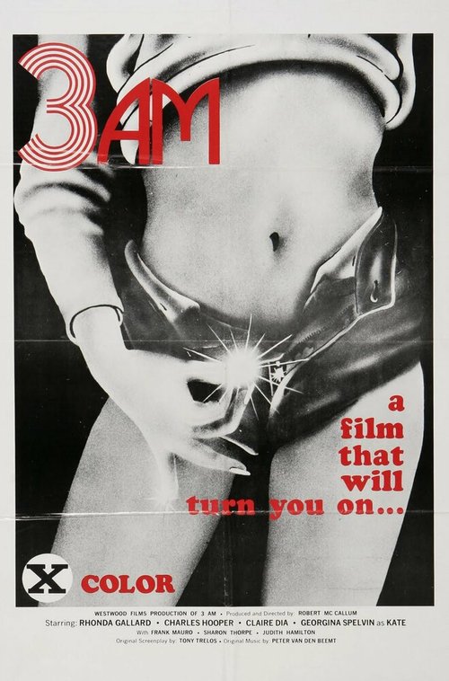 Обложка (Постер) 3 часа ночи / 3 A.M. (1975) SATRip