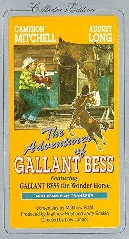 Обложка (Постер) Adventures of Gallant Bess (1948) SATRip Обложка (Постер) Adventures of Gallant Bess (1948) SATRip