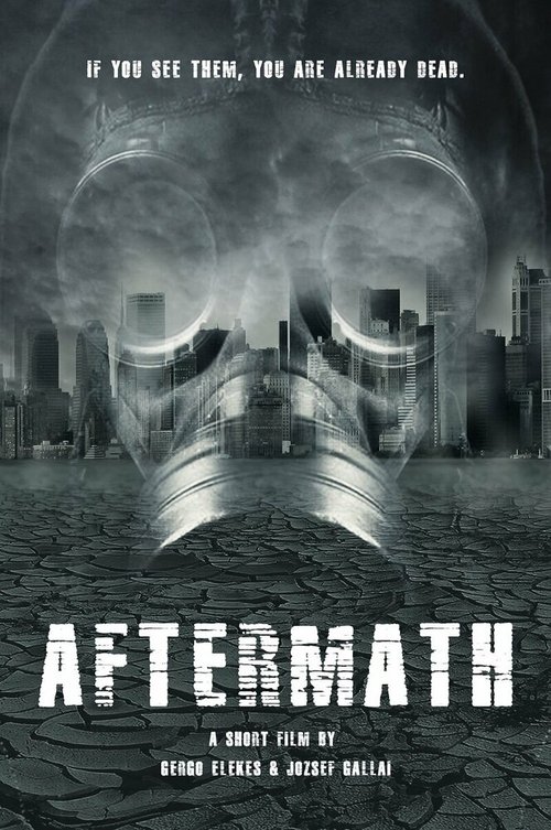 Обложка (Постер) Aftermath (2020) Обложка (Постер) Aftermath (2020)
