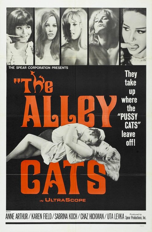 Обложка (Постер) Аллея кошек / The Alley Cats (1966) SATRip Обложка (Постер) Аллея кошек / The Alley Cats (1966) SATRip