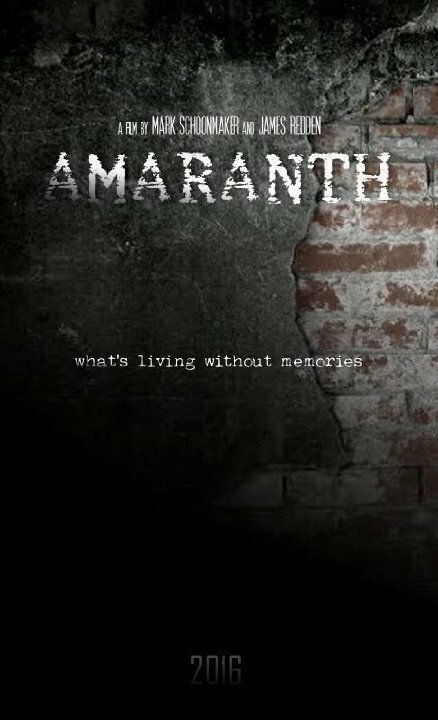 Обложка (Постер) Amaranth Обложка (Постер) Amaranth