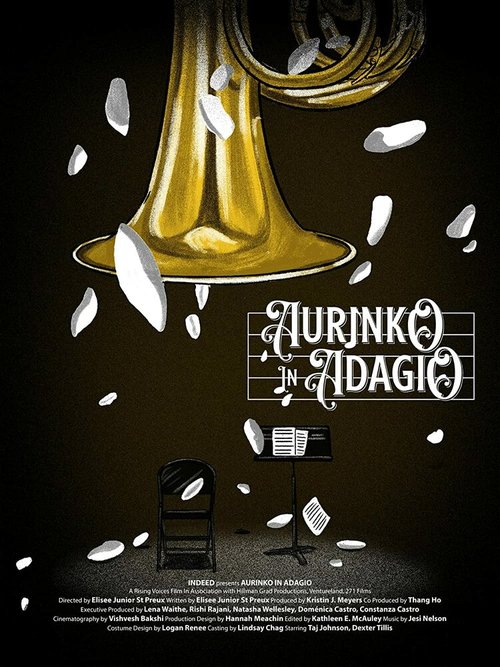 Обложка (Постер) Ауринко в Адажио / Aurinko in Adagio (2021) Обложка (Постер) Ауринко в Адажио / Aurinko in Adagio (2021)