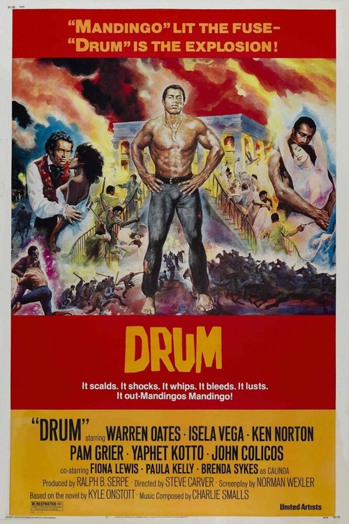 Обложка (Постер) Барабан / Drum (1976) SATRip
