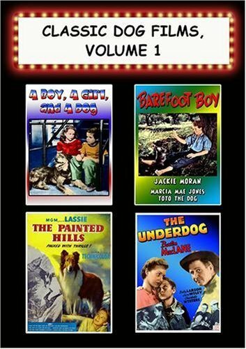 Обложка (Постер) Barefoot Boy (1938) SATRip Обложка (Постер) Barefoot Boy (1938) SATRip