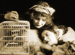 Обложка (Постер) Барышня и мышка / The Lady and the Mouse (1913) 