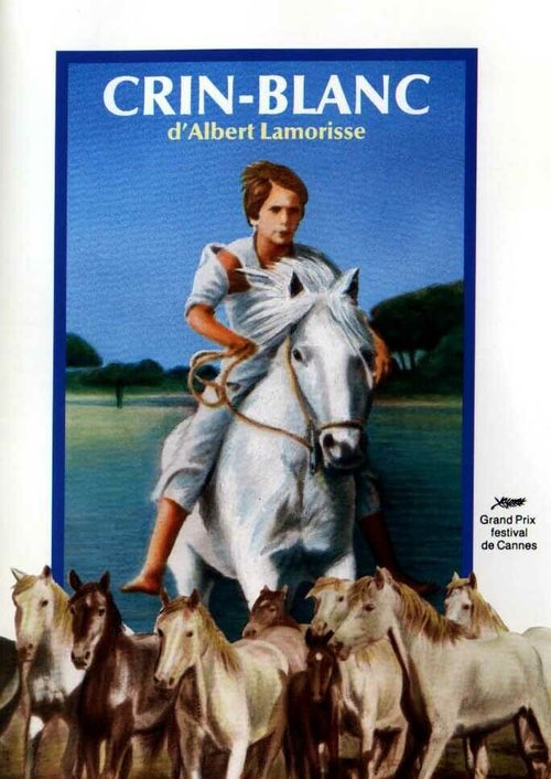 Обложка (Постер) Белая грива: Дикая лошадь / Crin blanc: Le cheval sauvage (1953) SATRip Обложка (Постер) Белая грива: Дикая лошадь / Crin blanc: Le cheval sauvage (1953) SATRip