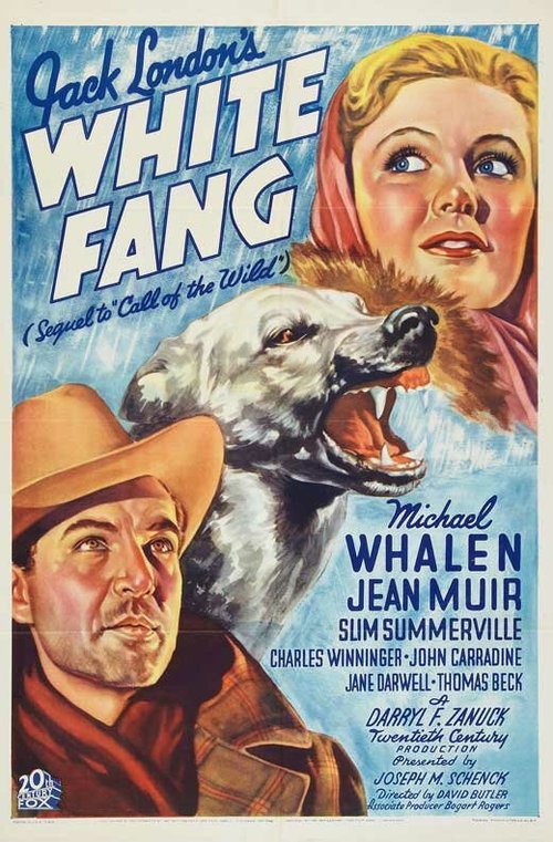 Обложка (Постер) Белый клык / White Fang (1936) SATRip
