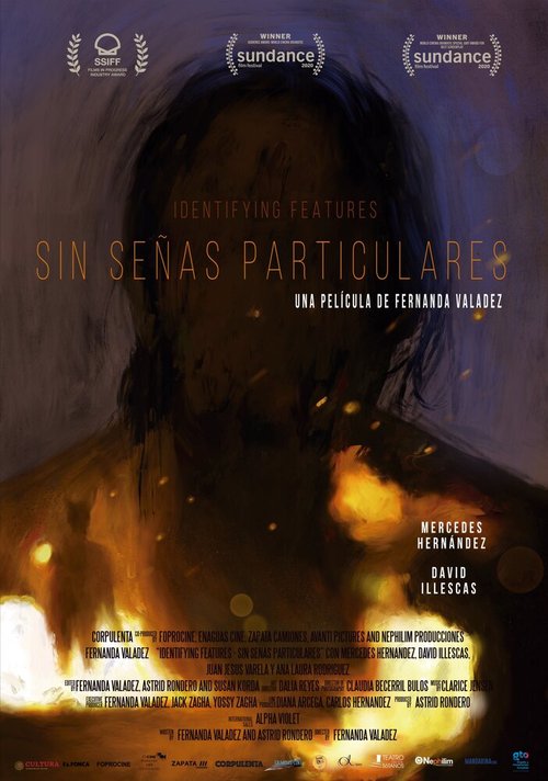 Обложка (Постер) Без особых примет / Sin señas particulares (2020) HDRip