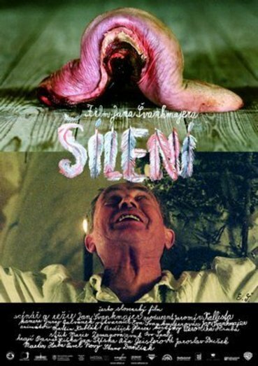 Обложка Безумие / Šílení (2005) 