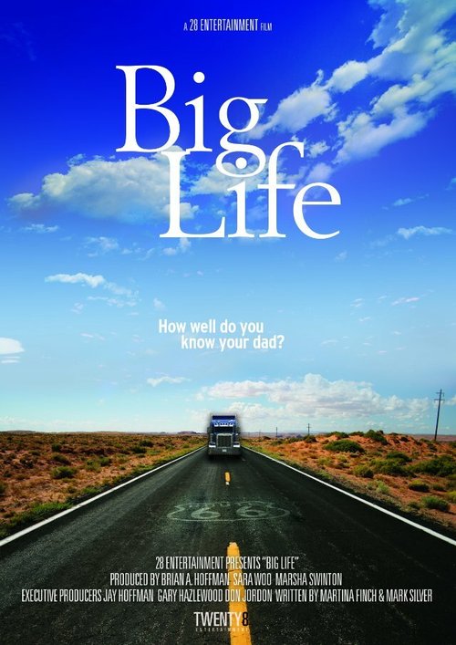 Обложка (Постер) Big Life  