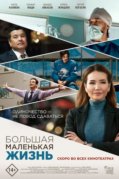 Обложка (Постер) Большая маленькая жизнь / Big Little Life (2020) HDRip Обложка (Постер) Большая маленькая жизнь / Big Little Life (2020) HDRip