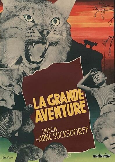 Обложка (Постер) Большое приключение / Det stora äventyret (1953) SATRip Обложка (Постер) Большое приключение / Det stora äventyret (1953) SATRip