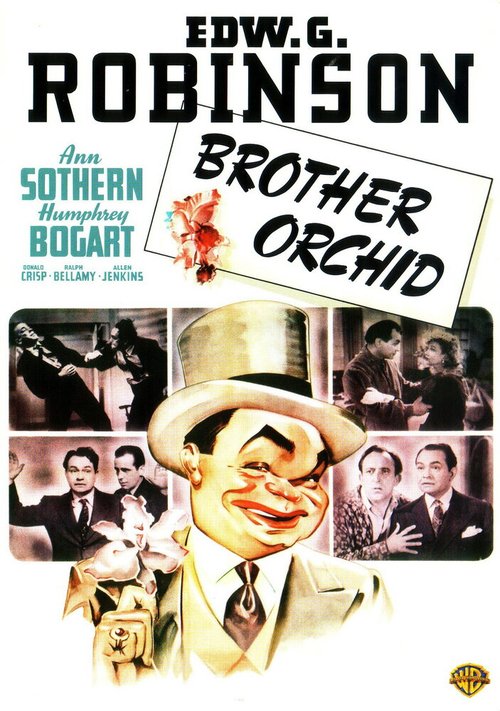 Обложка (Постер) Брат «Орхидея» / Brother Orchid (1940) SATRip Обложка (Постер) Брат «Орхидея» / Brother Orchid (1940) SATRip