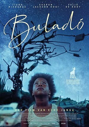 Обложка (Постер) Buladó (2020) HDRip