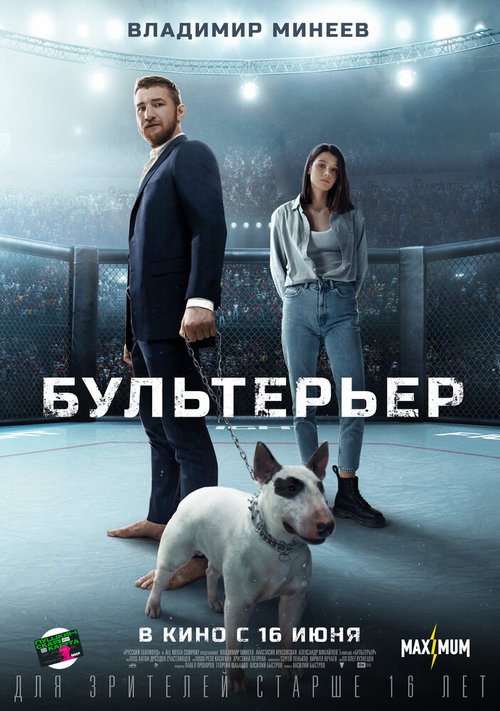 Обложка (Постер) Бультерьер (2021) Обложка (Постер) Бультерьер (2021)