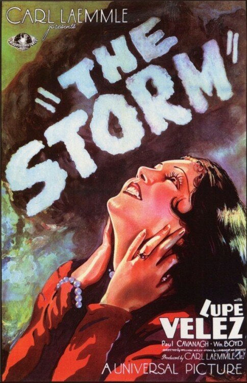 Обложка (Постер) Буря / The Storm (1930) SATRip