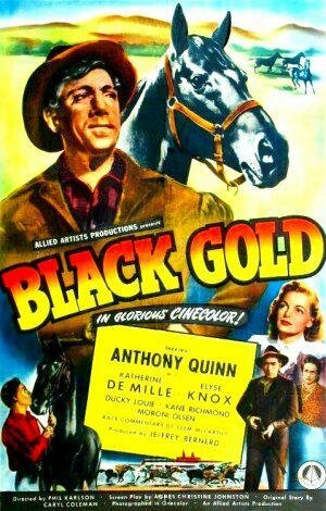Обложка (Постер) Черное золото / Black Gold (1947) SATRip Обложка (Постер) Черное золото / Black Gold (1947) SATRip