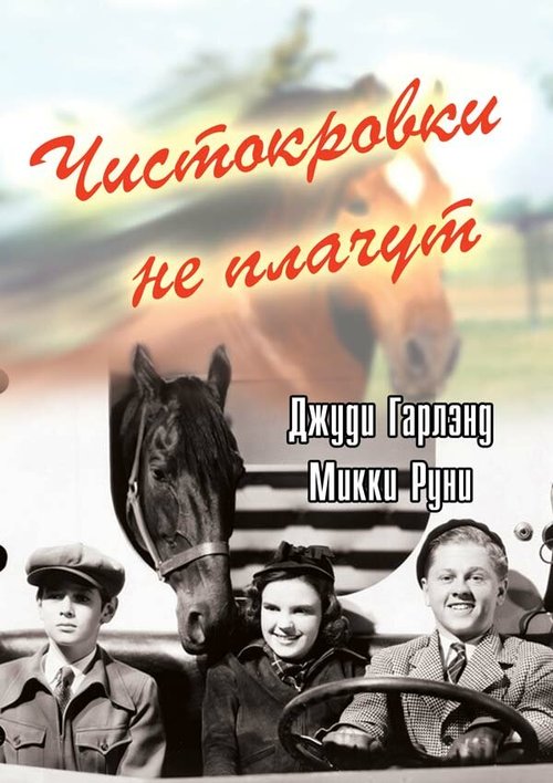 Обложка (Постер) Чистокровки не плачут / Thoroughbreds Don't Cry (1937) SATRip Обложка (Постер) Чистокровки не плачут / Thoroughbreds Don't Cry (1937) SATRip