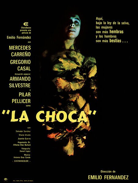 Обложка (Постер) Чока — Женщина со шрамом / La choca (1974) SATRip Обложка (Постер) Чока — Женщина со шрамом / La choca (1974) SATRip