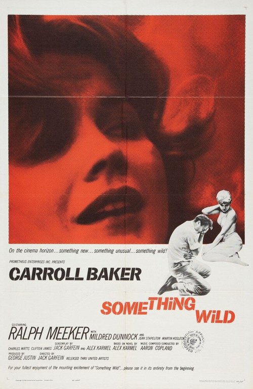 Обложка (Постер) Что-то дикое / Something Wild (1961) SATRip